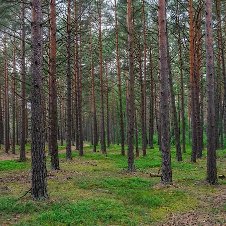 Casa vacanze Szumifala
