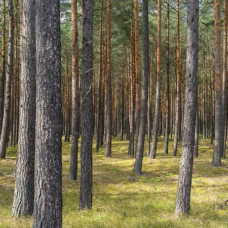 Szumifala Casa vacanze
