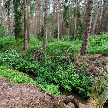 Szumifala Casa vacanze *