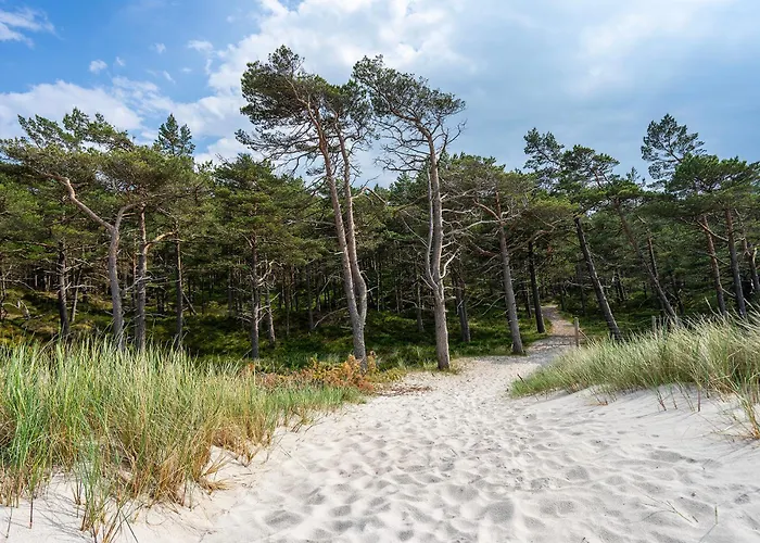 Szumifala لوبيتاتو