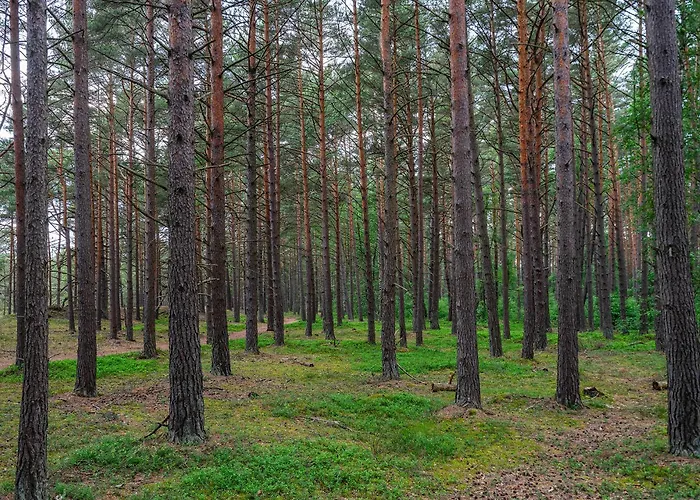 بيت للعطل Szumifala