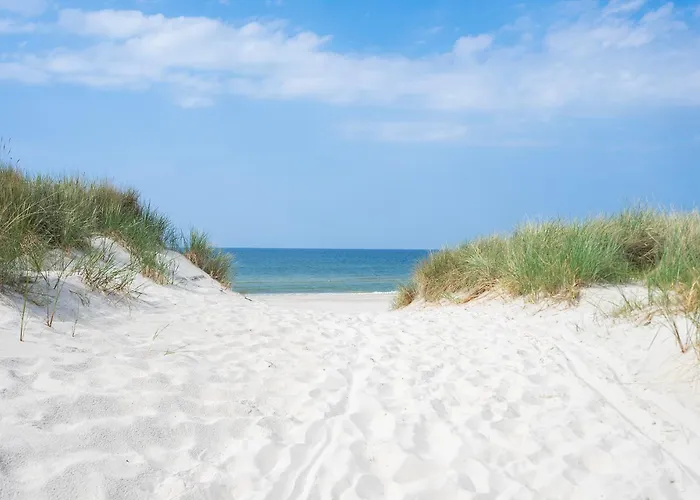 Szumifala * لوبيتاتو