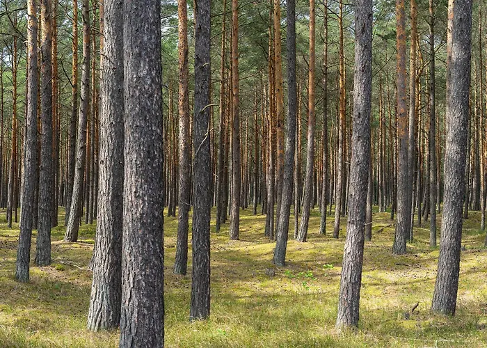 Szumifala بيت للعطل