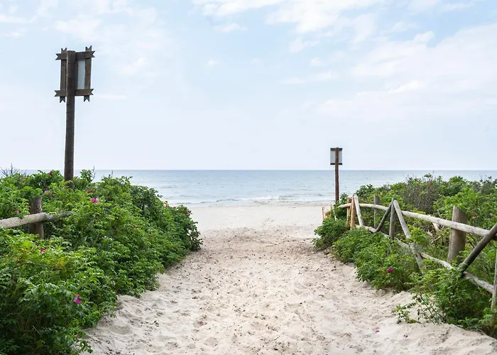 Szumifala * لوبيتاتو