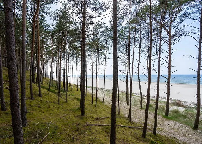 Szumifala بيت للعطل