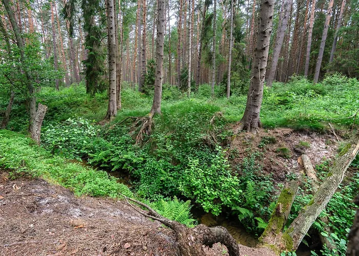 Szumifala بيت للعطل *